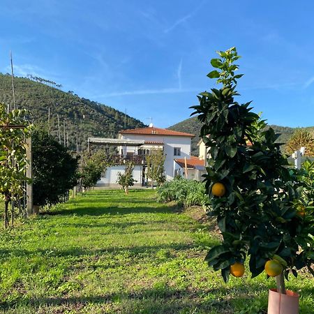 La Tenuta Di Eva بيزا المظهر الخارجي الصورة