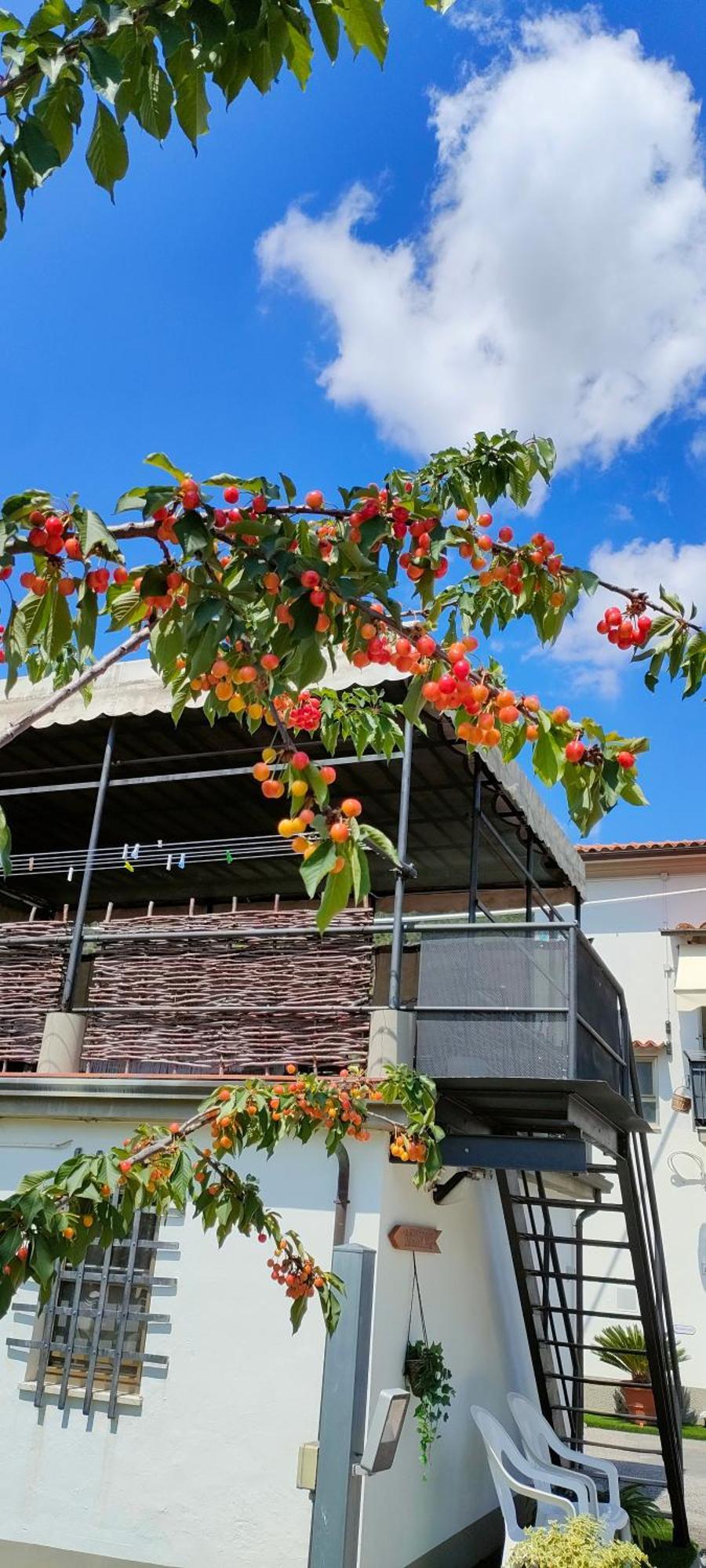 La Tenuta Di Eva بيزا المظهر الخارجي الصورة