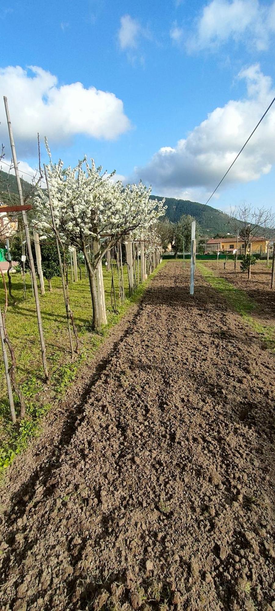 La Tenuta Di Eva بيزا المظهر الخارجي الصورة