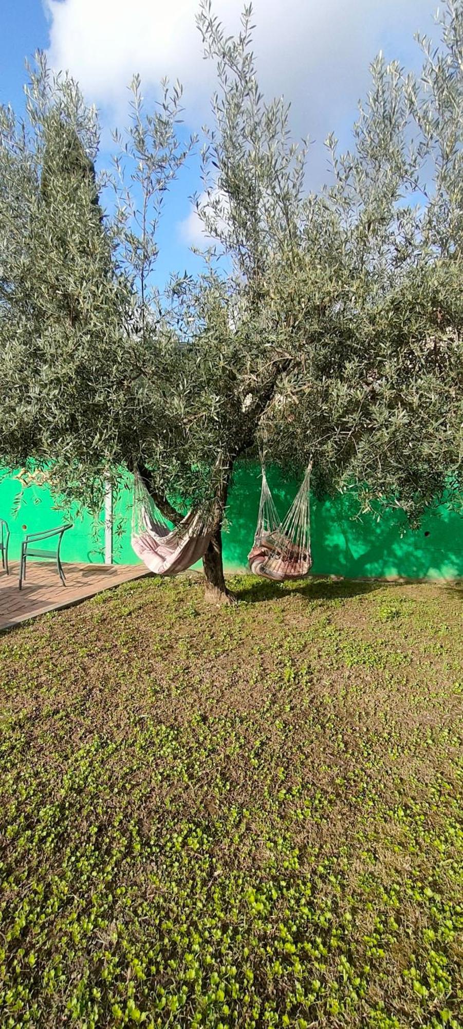 La Tenuta Di Eva بيزا المظهر الخارجي الصورة