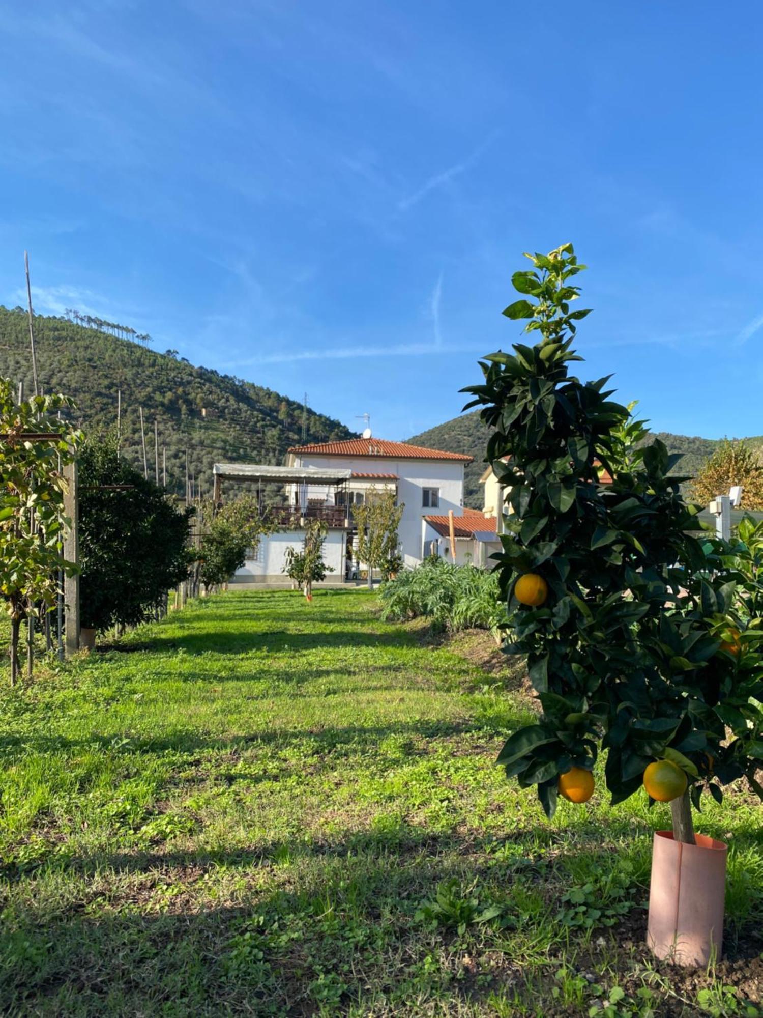 La Tenuta Di Eva بيزا المظهر الخارجي الصورة
