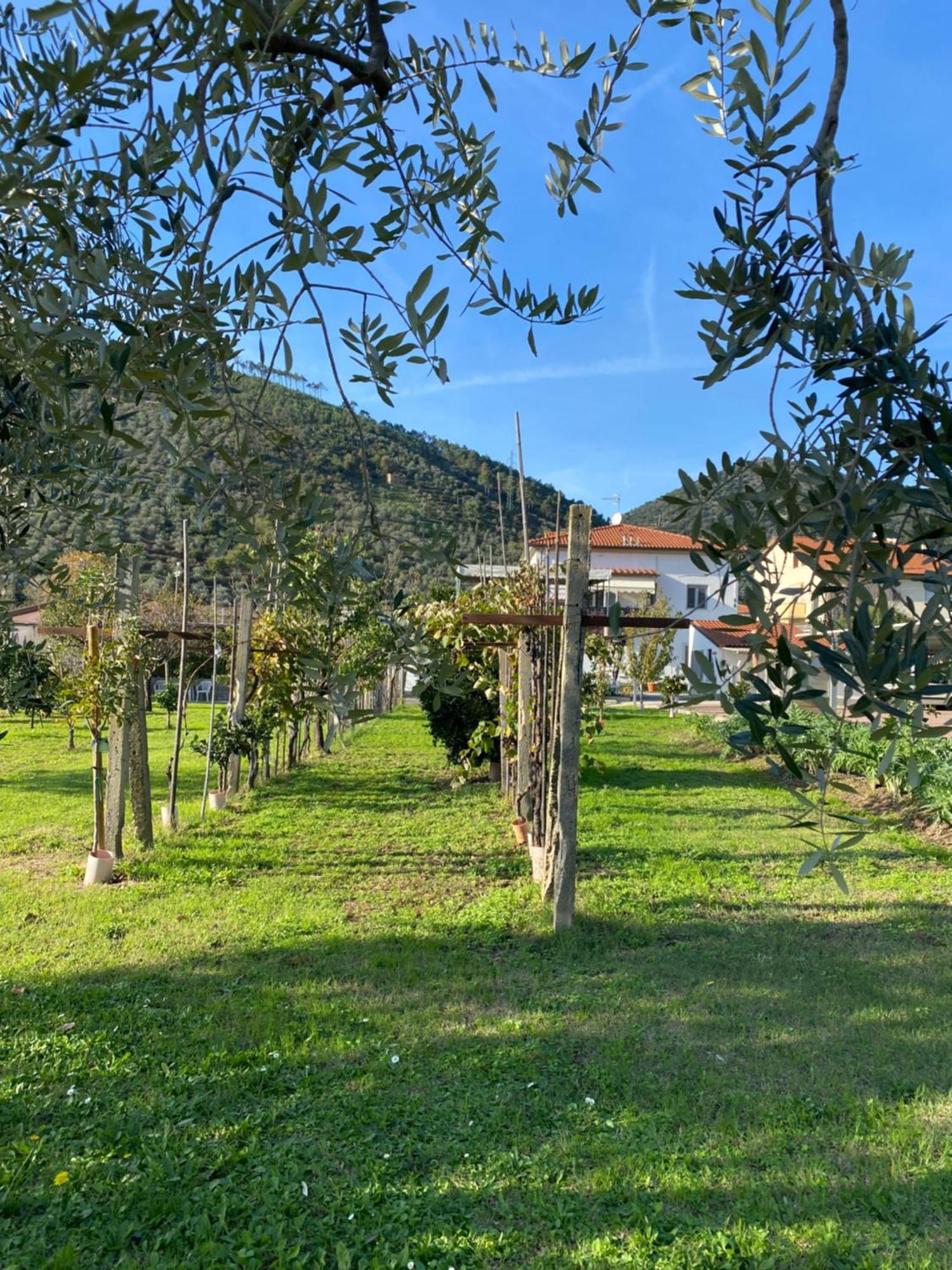 La Tenuta Di Eva بيزا المظهر الخارجي الصورة