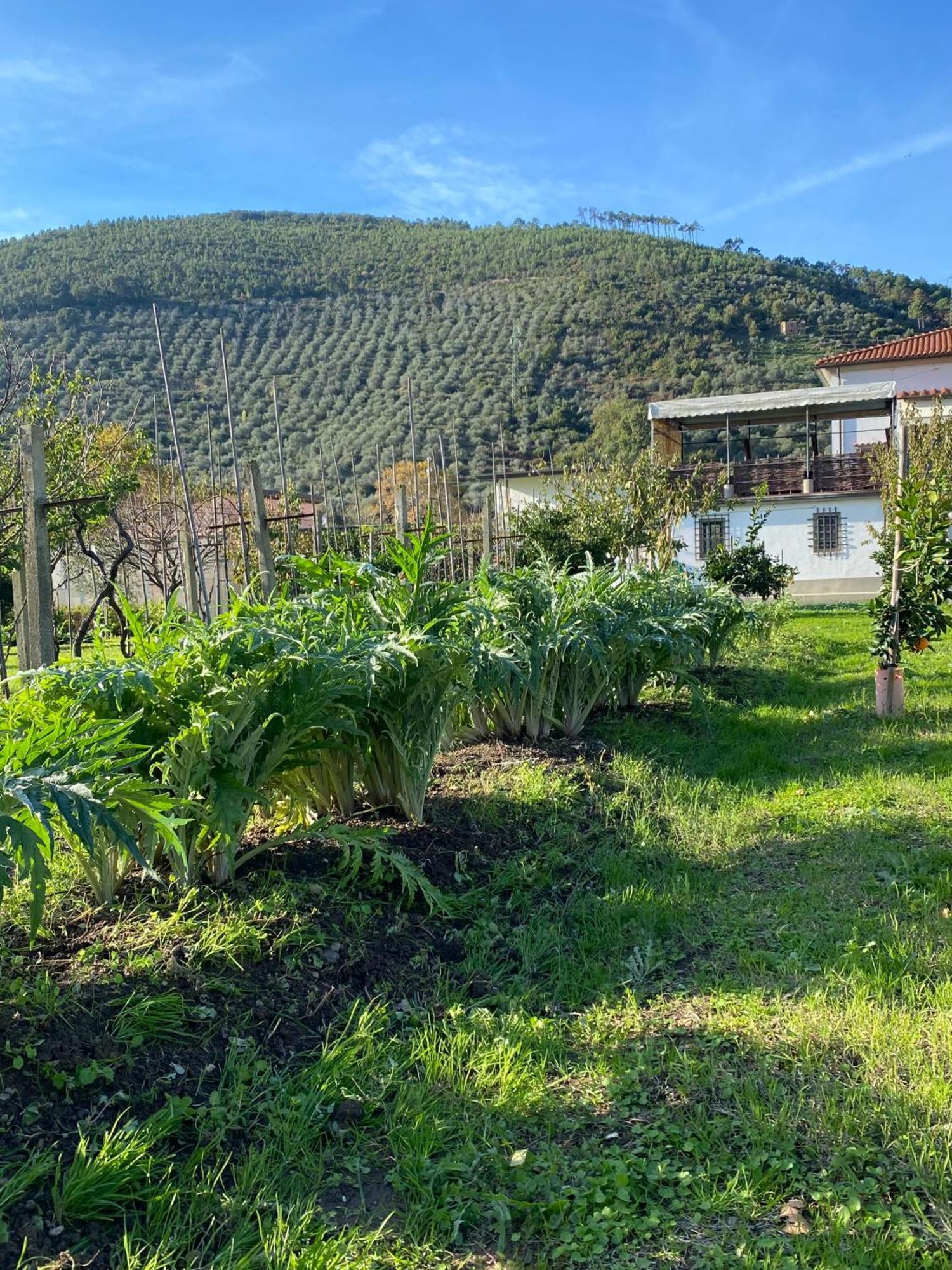 La Tenuta Di Eva بيزا المظهر الخارجي الصورة