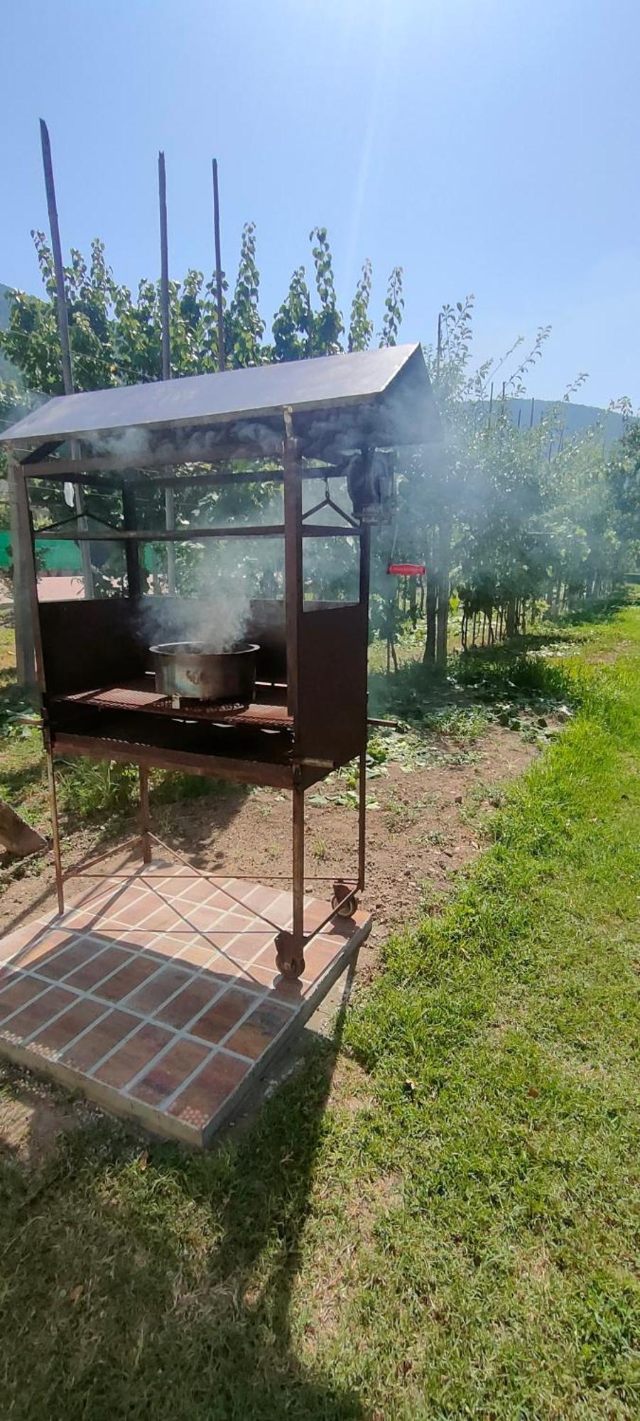 La Tenuta Di Eva بيزا المظهر الخارجي الصورة