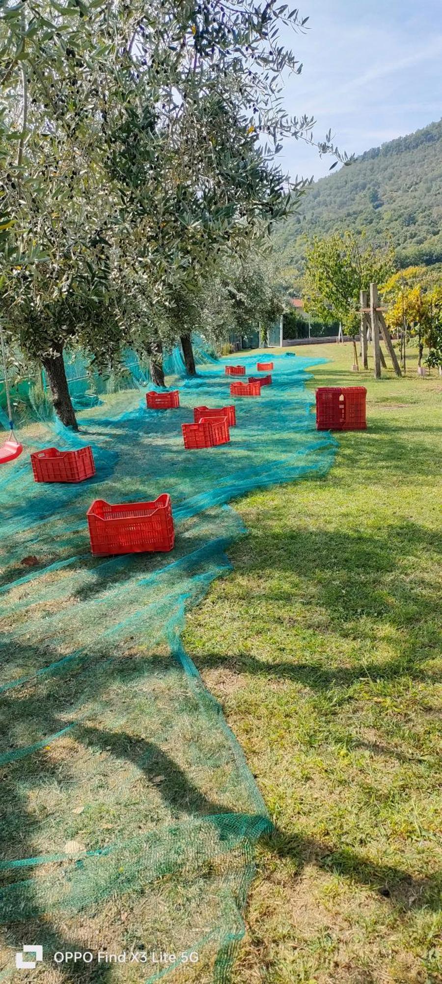 La Tenuta Di Eva بيزا المظهر الخارجي الصورة