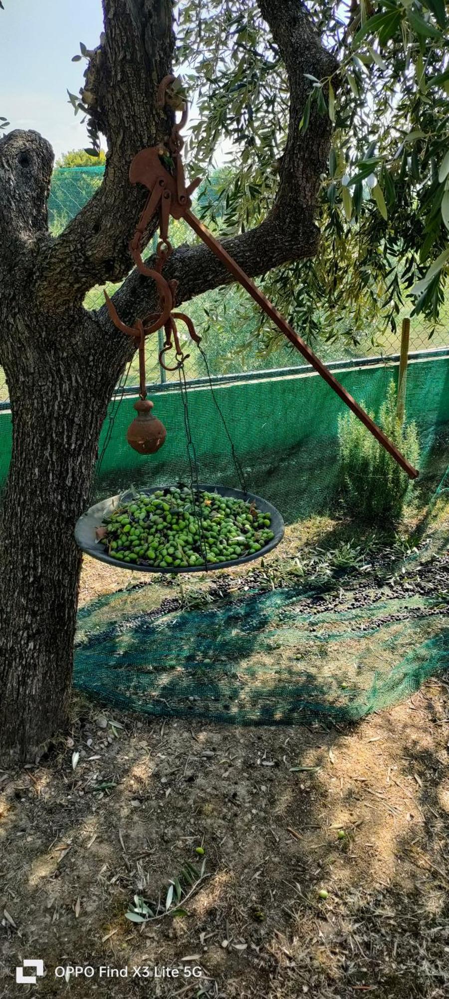 La Tenuta Di Eva بيزا المظهر الخارجي الصورة