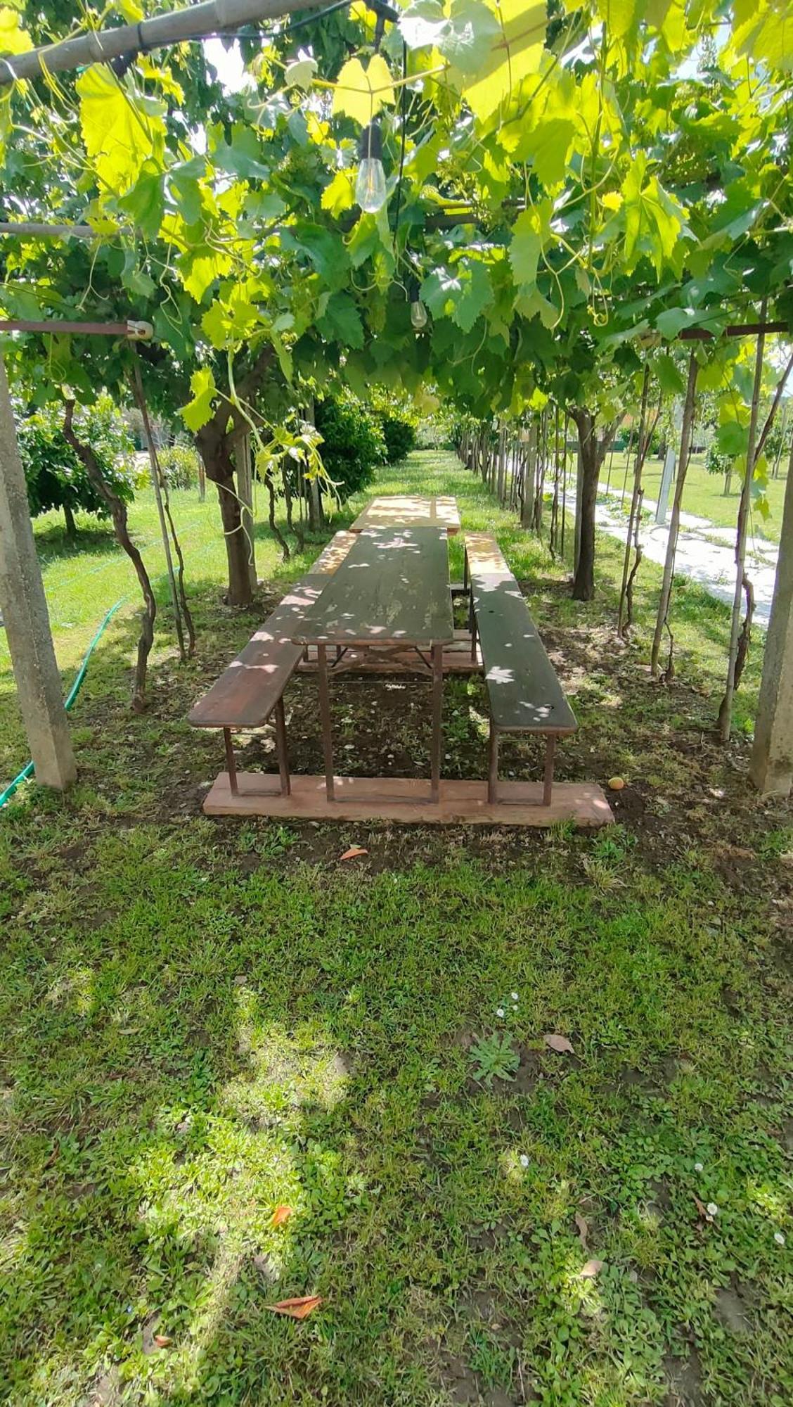 La Tenuta Di Eva بيزا المظهر الخارجي الصورة